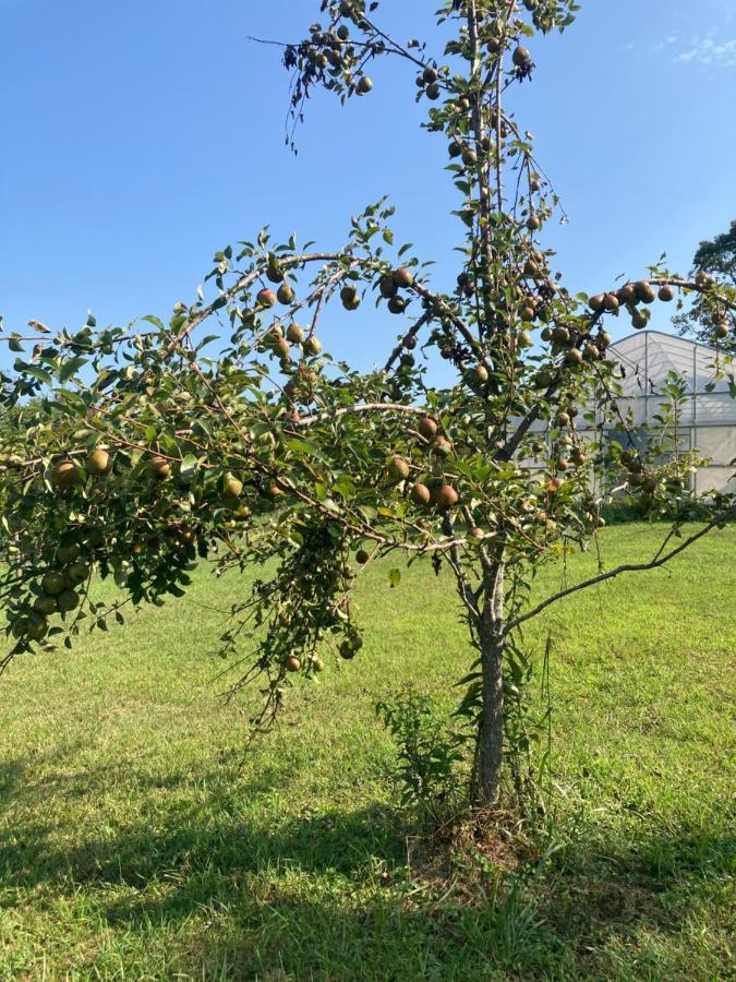 Peach Farm Cottage Keswick Luaran gambar